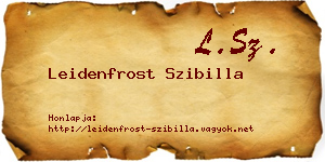 Leidenfrost Szibilla névjegykártya